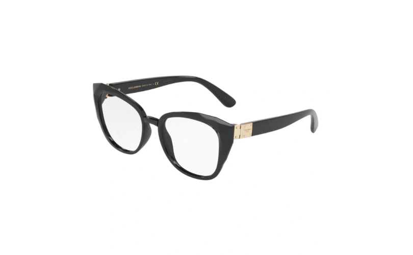 DOLCE & GABBANA DG5041 - 501 - 53