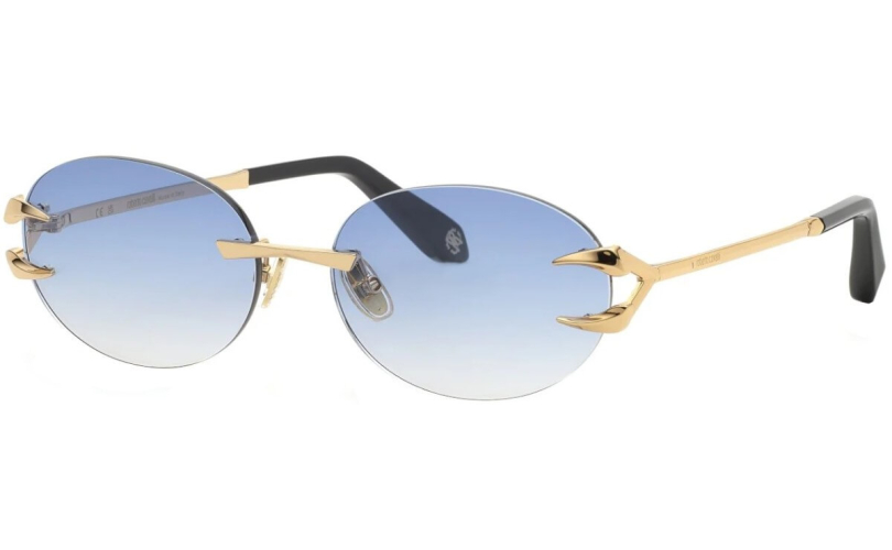ROBERTO CAVALLI SRC182 - 300B - 1
