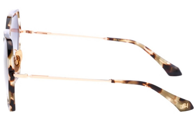 ANA HICKMANN AH3310 - G21 - 2