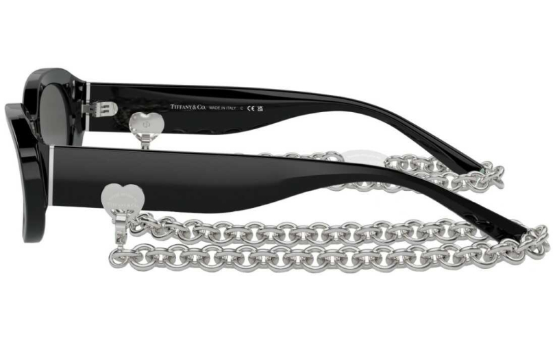 TIFFANY & CO. TF4221 - 8001S4 - 2 - Skyoptic.bg TIFFANY & CO. TF4221 - 8001S4 - 2