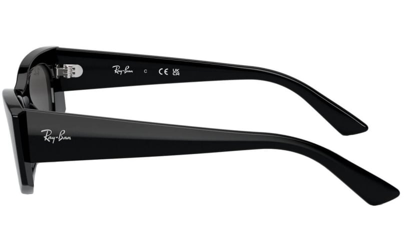 RAY-BAN RB4427- 667787 - 2