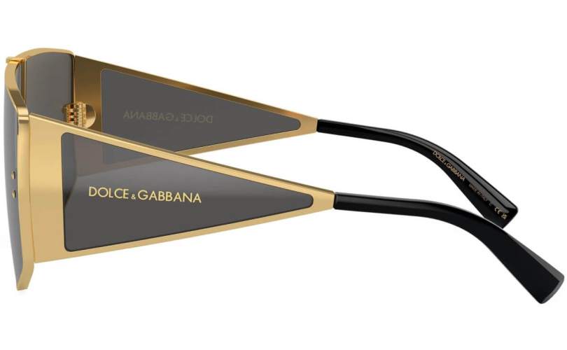 DOLCE & GABBANA DG2305 - 02/87 - 2