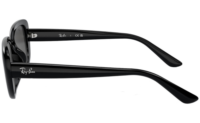 RAY-BAN RB4421D - 667787 - 2