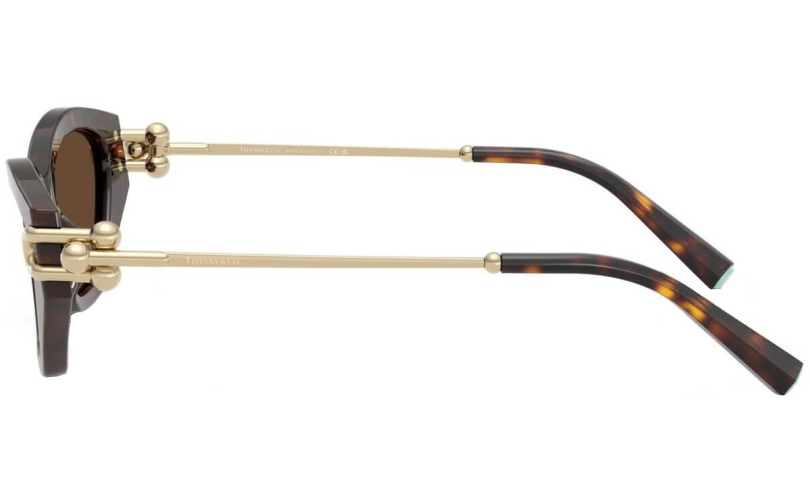 TIFFANY & CO. TF4231U - 80153G - 2