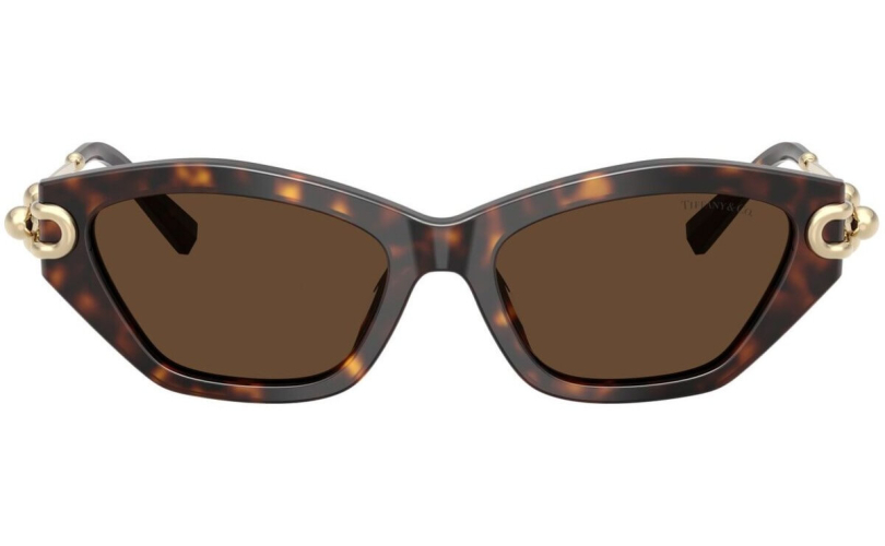 TIFFANY & CO. TF4231U - 80153G - 3