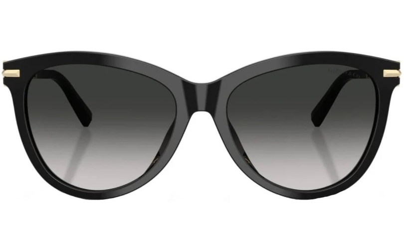 TIFFANY & CO. TF4258BU - 80013C - 3