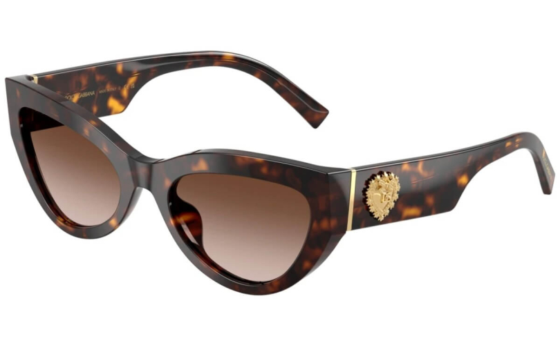 DOLCE & GABBANA DG4536 - 502/13