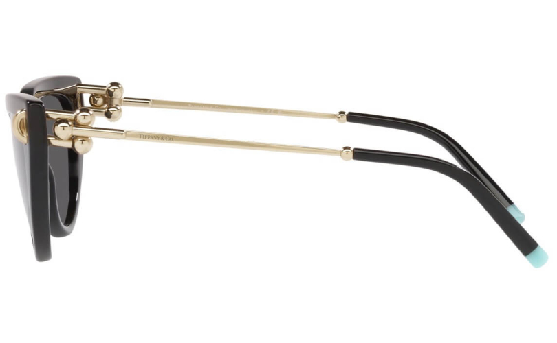 TIFFANY & CO. TF4195 - 8001S4 - 2 - Skyoptic.bg TIFFANY & CO. TF4195 - 8001S4 - 2