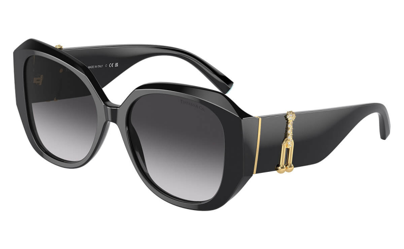 TIFFANY & CO. TF4207B - 80013C - 1