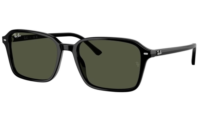 RAY-BAN RB2231 - 901/31