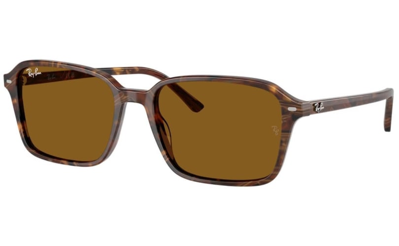 RAY-BAN RB2231 - 141833