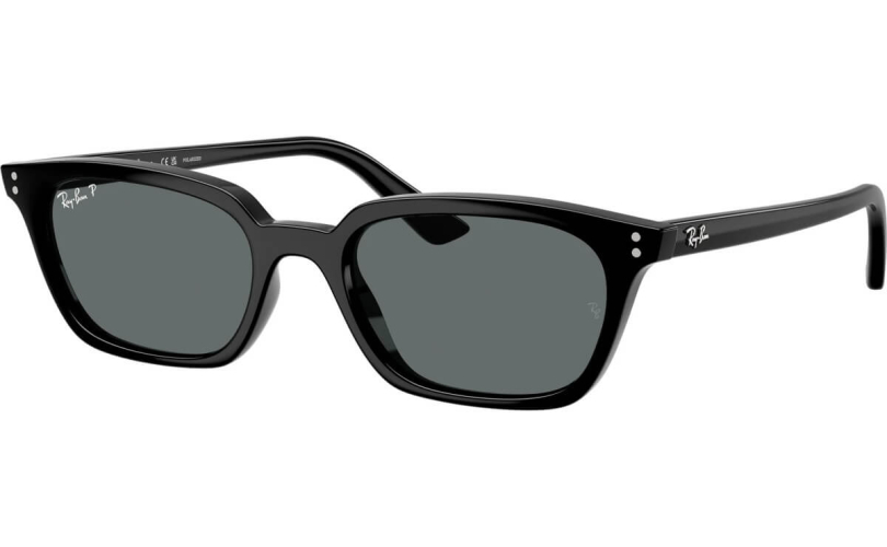 RAY-BAN RB4456 - 667781