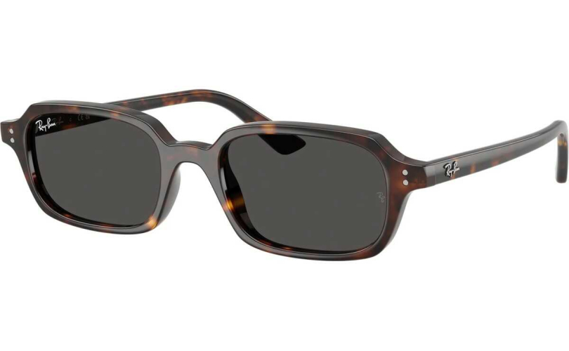 RAY-BAN RB4455 - 135987