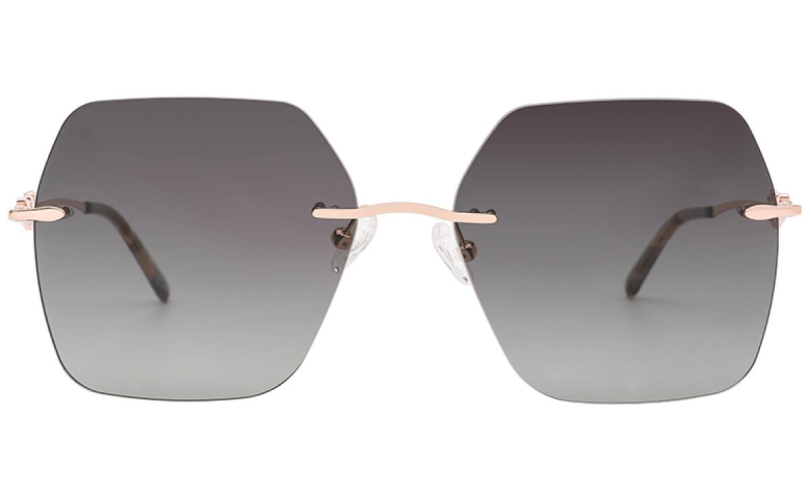 POLARD TS5002 - C3 - 2 - Skyoptic.bg POLARD TS5002 - C3 - 2