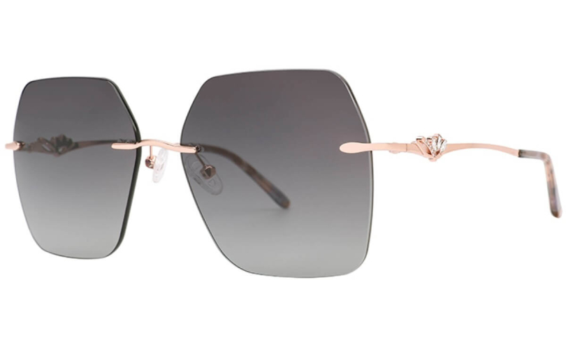 POLARD TS5002 - C3 - 1 - Skyoptic.bg POLARD TS5002 - C3 - 1