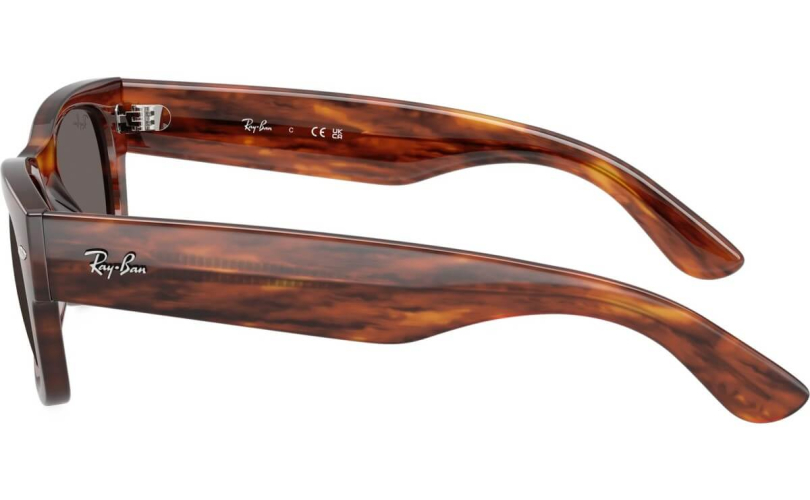 RAY-BAN RB0832S - 954/B1 - 2