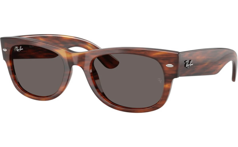 RAY-BAN RB0832S - 954/B1