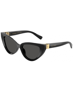 DOLCE & GABBANA DG4497 - 501/87