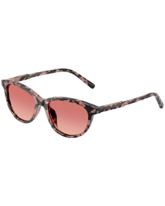 DOLCE & GABBANA - Junior DX4010 - 3476A5
