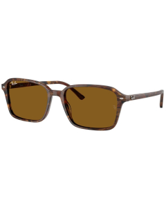 RAY-BAN RB2231 - 141833