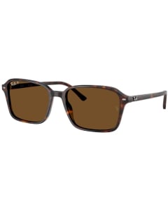 RAY-BAN RB2231 - 902/57