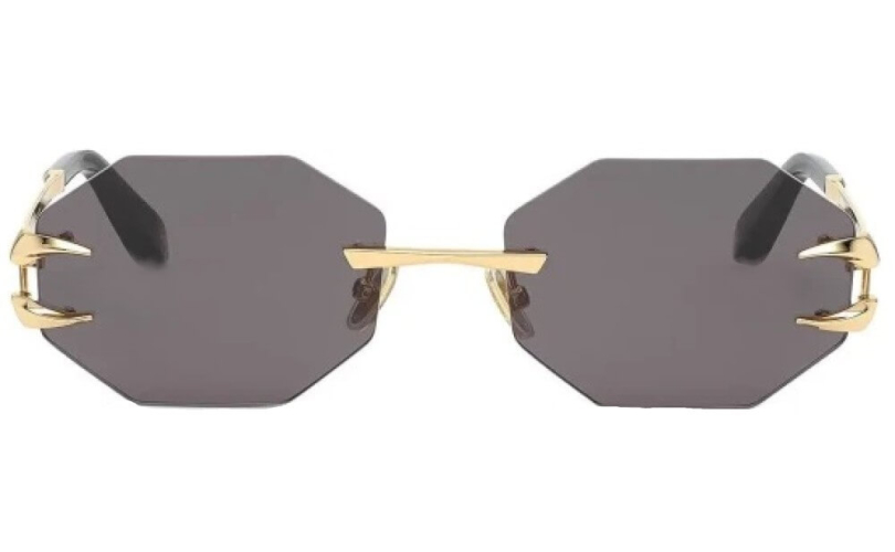ROBERTO CAVALLI SRC005 - 0300 - 3