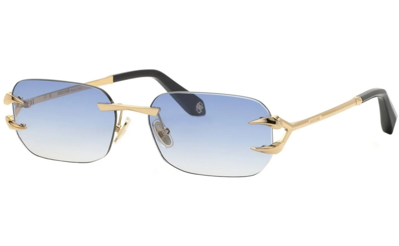ROBERTO CAVALLI SRC181 - 300B