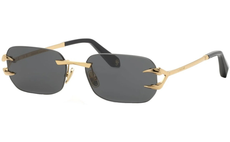 ROBERTO CAVALLI SRC181 - 300K