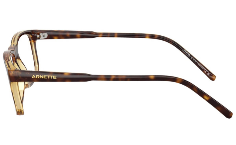 ARNETTE AN7194 - 2770 - 2