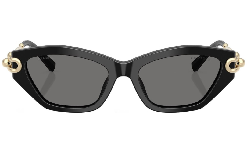 TIFFANY & CO. TF4231U - 800181 - 3