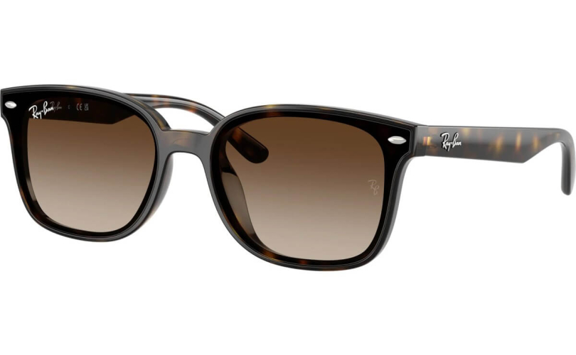 RAY-BAN RB4461D - 710/13 - 1