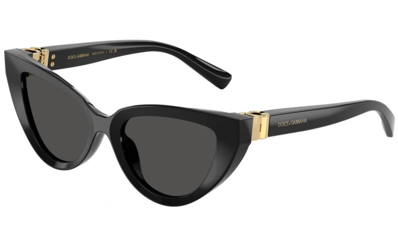 DOLCE & GABBANA DG4497 - 501/87 - 1