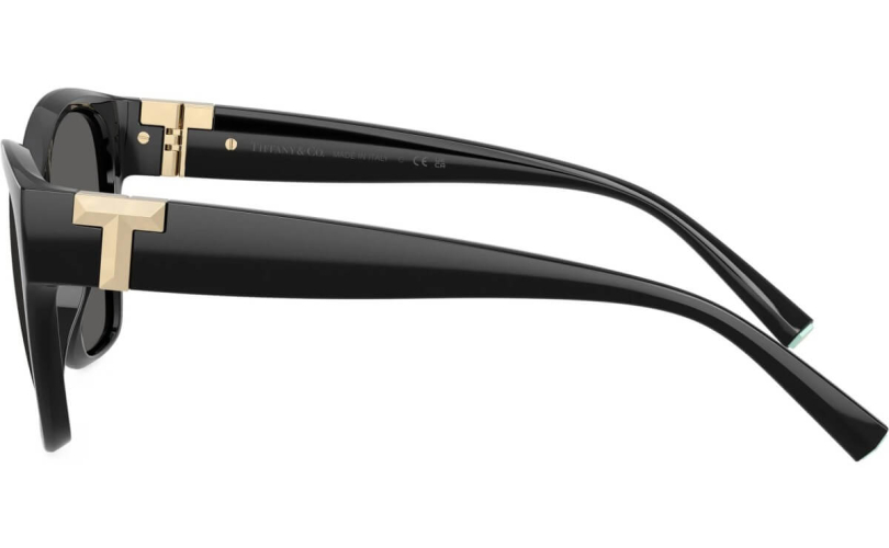 TIFFANY & CO. TF4254U - 8001S4 - 2