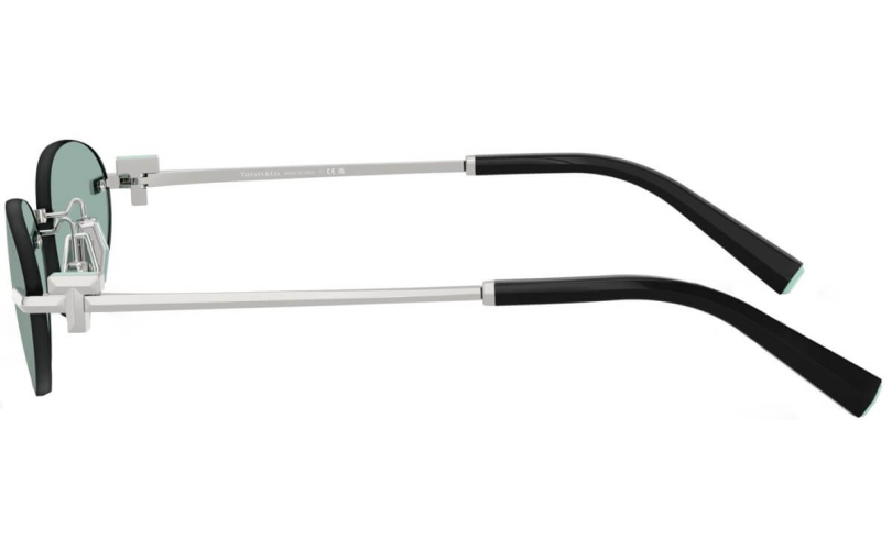 TIFFANY & CO. TF3119D - 600165 - 2