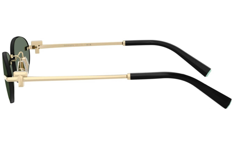 TIFFANY & CO. TF3119D - 623882 - 2