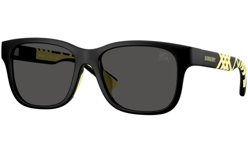 BURBERRY - Junior JB4007U - 346487