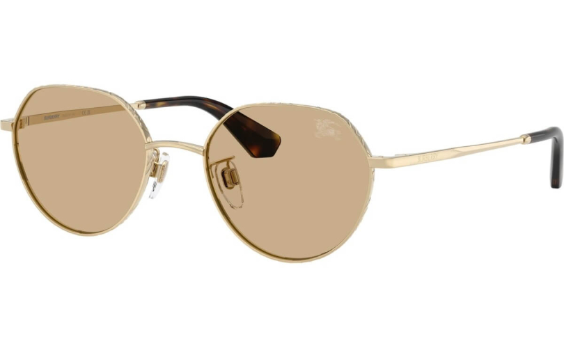 BURBERRY BE3173D - 110973