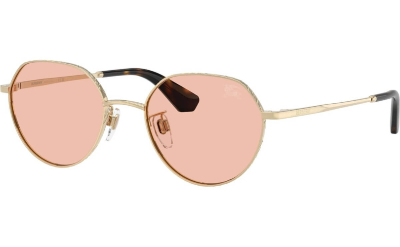 BURBERRY BE3173D - 110984