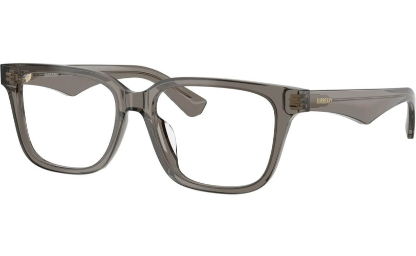 BURBERRY BE2425D - 4242