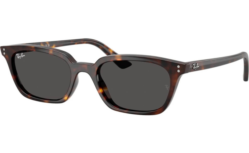 RAY-BAN RB4456 - 135987 - 1