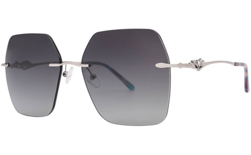 POLARD TS5002 - C2