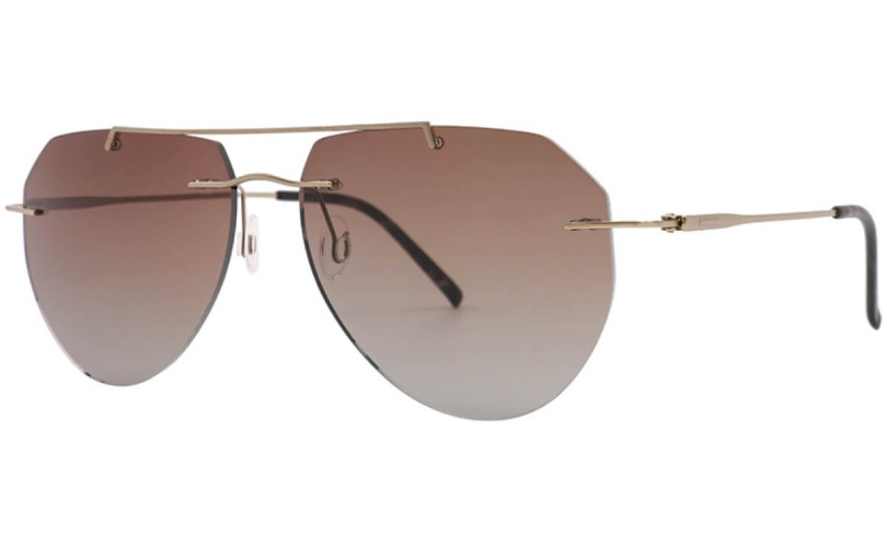 POLARD TS7002 - C2