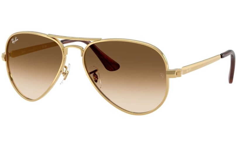 RAY-BAN RB3925 - 001/51