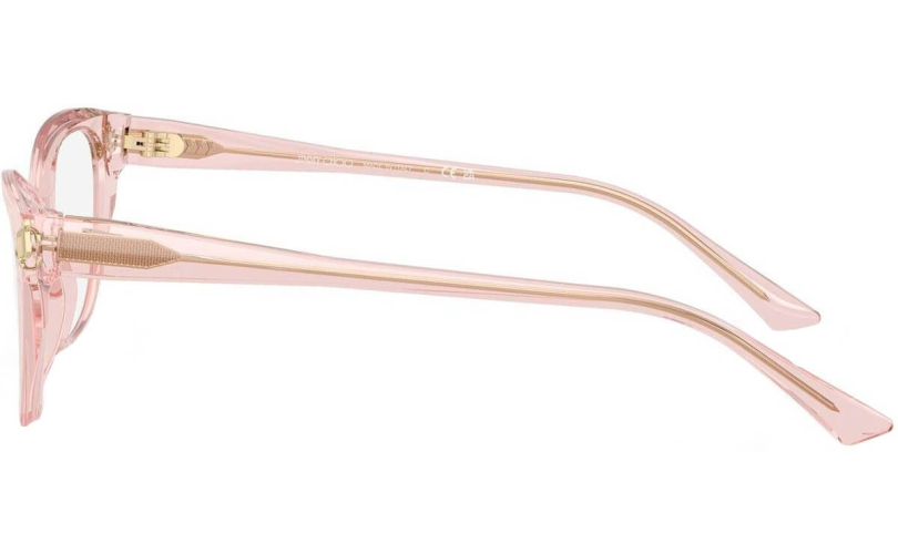 JIMMY CHOO JC3011 - 5034 - 2