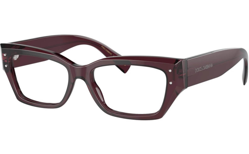 DOLCE & GABBANA DG3387 - 3045