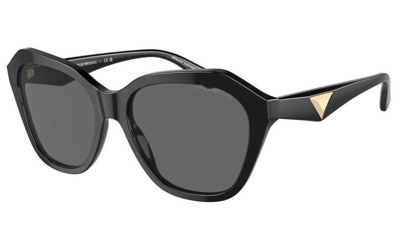 EMPORIO ARMANI EA4221 - 501787